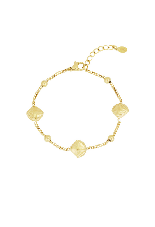 Shell Serenade Armband